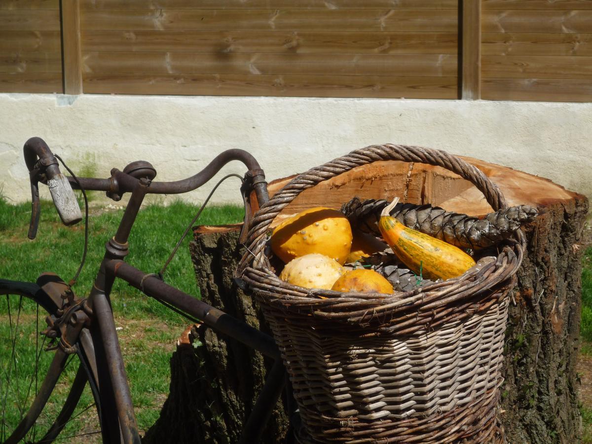 Bed and Breakfast Le Relais Du Grand Logis Civrieux Esterno foto